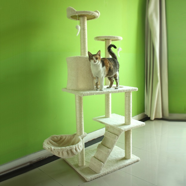 บ้านน้องแมวน่ารักๆ เอาใจคนรักแมว !!! - บ้าน - การออกแบบ - ไอเดียเก๋ - ไอเดีย
