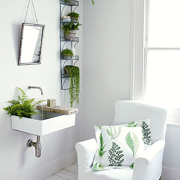Phòng tắm xanh mát với cây cảnh - Đồ trang trí - Phòng tắm - Thiết kế