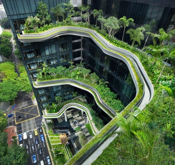 Khách sạn PARKROYAL, Singapore: Khu vườn xanh giữa trời xanh. - PARKROYAL - Khách sạn - Thiết kế thương mại
