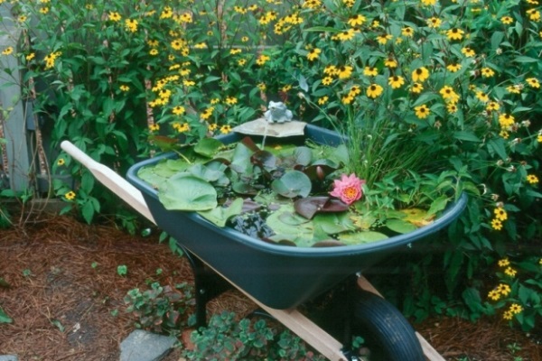 DIY: Thú vị với cách trồng cây thủy sinh - Trang trí - Ý tưởng - Xu hướng - Mẹo và Sáng Kiến - Ngoài trời - Vườn