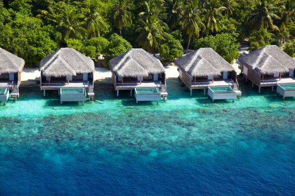 Dusit Thani Maldives: khu resort tuyệt đẹp với dòng nước biển xanh lam bao quanh - Dusit Thani Maldives - Thiết kế thương mại - Thiết kế
