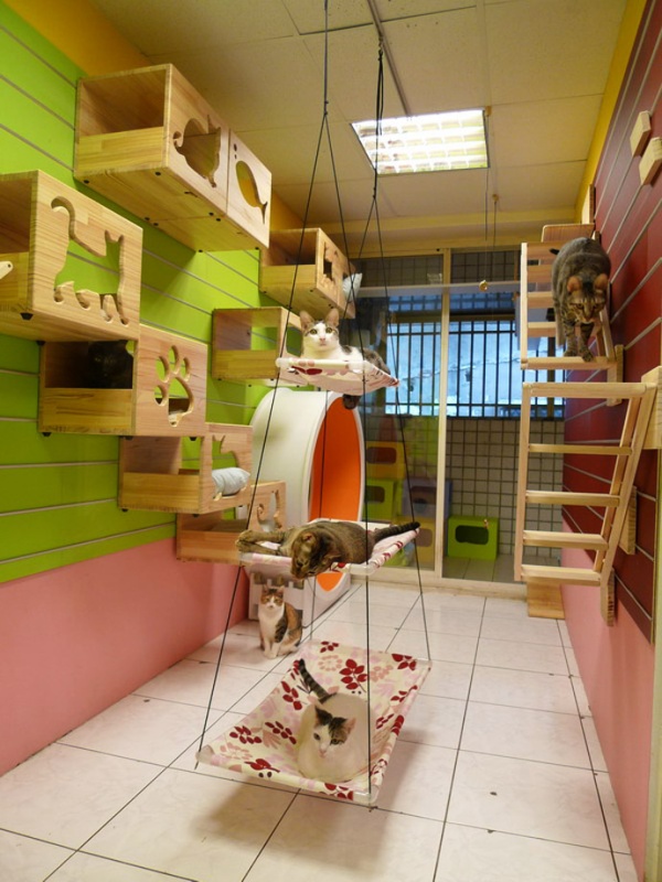 Catswall - Super Cute Modular Cat Climbing Wall For Pets