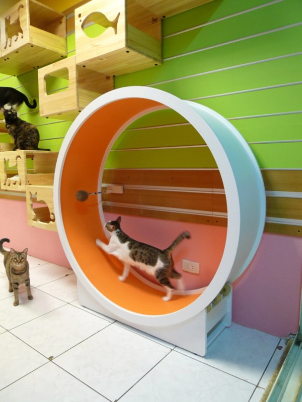 Catswall - Super Cute Modular Cat Climbing Wall For Pets