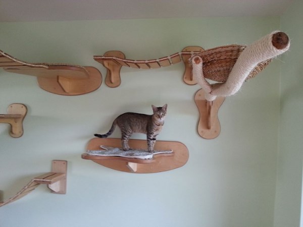 BST nội thất dành cho mèo từ Stefan Hofmann - Thiết kế - Dành cho thú nuôi - Dành cho mèo