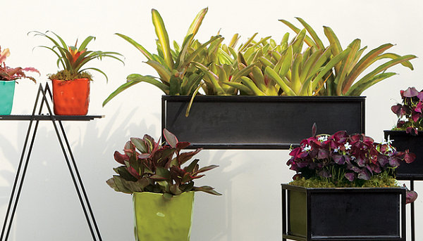 Best Summer Decor