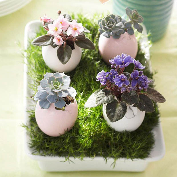 ไอเดียน่ารัก ของแต่งบ้าน จากเปลือกไข่ - ของแต่งบ้าน - DIY - ไอเดียแต่งบ้าน - เปลือกไข่ - ของแต่งบ้านจากไข่ - เปลือกไข่แต่งบ้าน