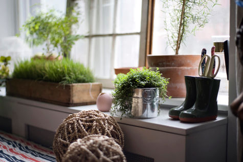 sneak peek: juliet totten of poppies and posies - Design - Trend