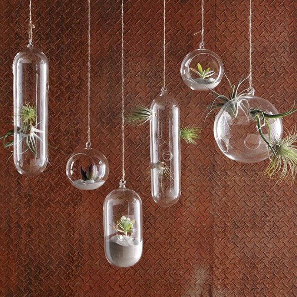 Kreatív függőkert üvegbuborékokban