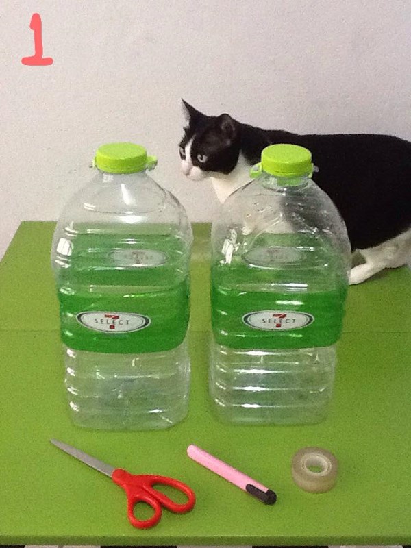 DIY ที่ให้อาหารแมวและสุนัข ทําเอง (ออโต้) - DIY