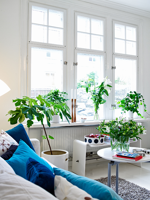 White House with Scandinavian Style