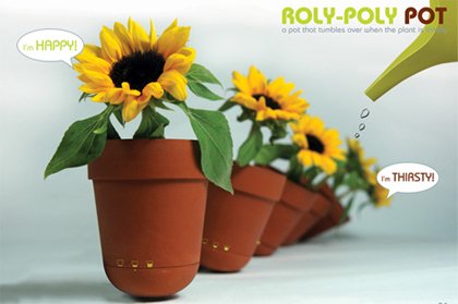 The Roly-Poly Pot