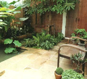 สดชื่น! จัดสวนในบ้าน สวยผ่อนคลาย สบายใจ! - จัดสวนในบ้าน - สวนสวย - จัดมุมปลูกต้นไม้ - แต่งบ้านด้วยต้นไม้ - มุมพักผ่อน - สวนกระถาง