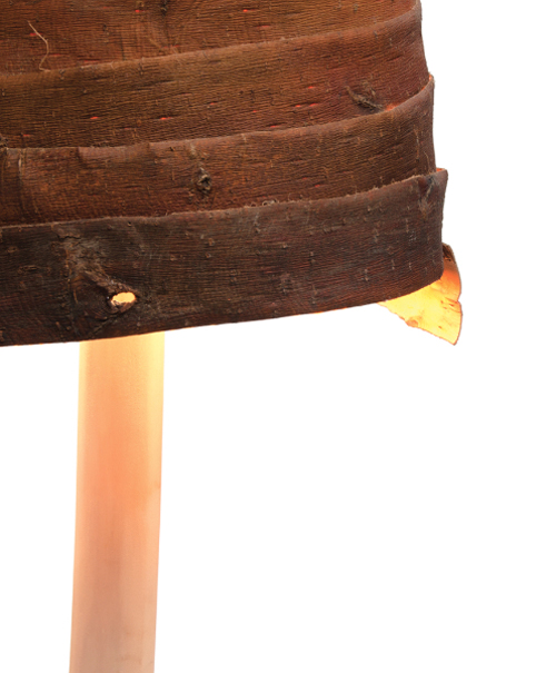 ไอเดียสวย "โคมไฟเปลือกไม้" สำหรับบ้านรักษ์โลก... - ของแต่งบ้าน - โคมไฟ - ตกแต่งบ้าน - โคมไฟเปลือกไม้ - โคมไฟรักษ์โลก