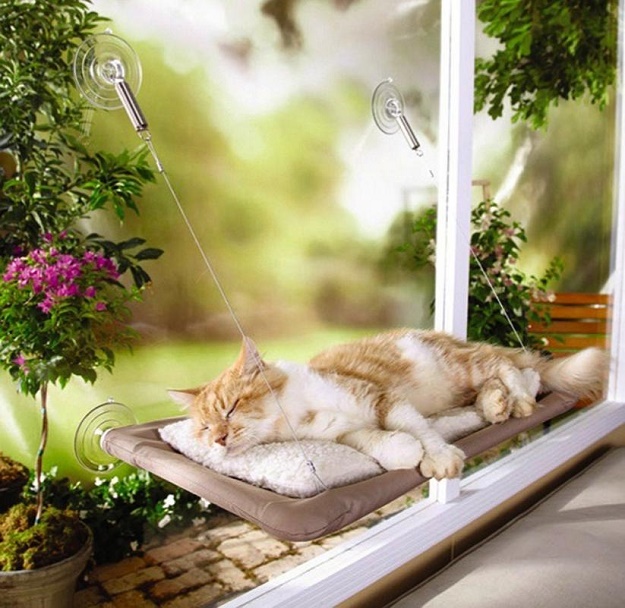บ้านน้องแมวน่ารักๆ เอาใจคนรักแมว !!! - บ้าน - การออกแบบ - ไอเดียเก๋ - ไอเดีย
