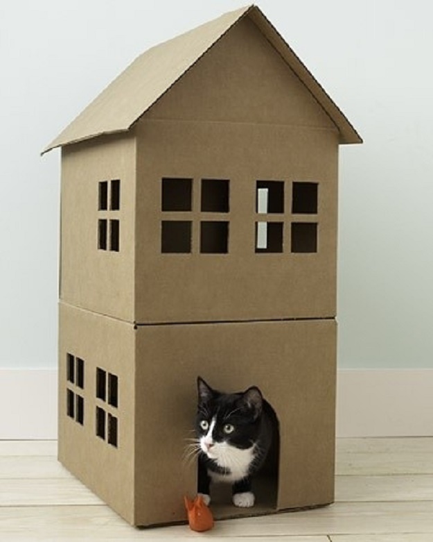 บ้านน้องแมวน่ารักๆ เอาใจคนรักแมว !!! - บ้าน - การออกแบบ - ไอเดียเก๋ - ไอเดีย