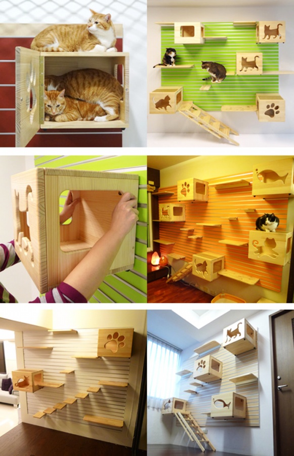 Catswall - Super Cute Modular Cat Climbing Wall For Pets