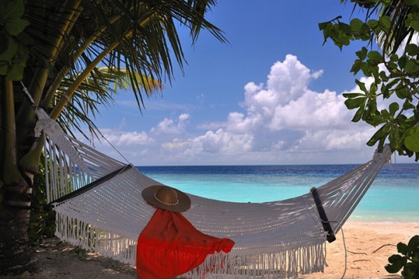 Lily Beach Resort & Spa, Maldives: Thiên đường giữa biển. - Thiết kế thương mại - Spa - Resort - Maldives