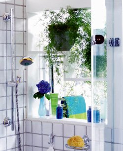 6 Green ideas in Bathroom