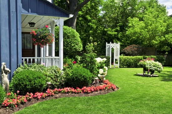 จัดสวนหย่อมหน้าบ้านด้วยดอกไม้ - สวนสวย - บ้านและสวน - ปลูกต้นไม้ - ไอเดียแต่งสวน