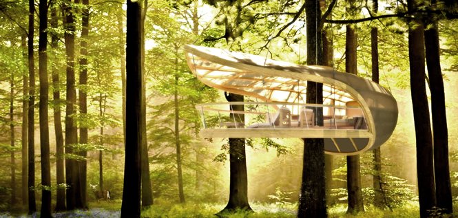 Eko-kuće u krošnjama kanadske šume