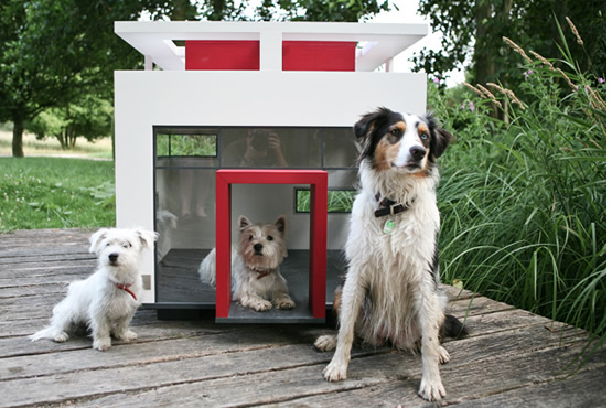 Stylish House For Your Dogs - Dog Houses - Design