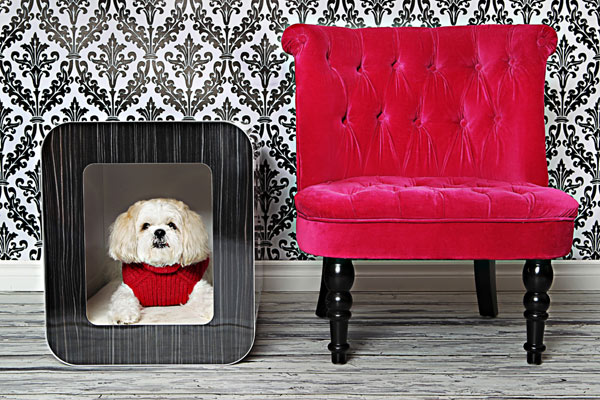 เก้าอี้ที่เข้ากันกับเก้าอี้ของน้องหมา - ตกแต่งบ้าน - การออกแบบ - ไอเดีย - แต่งบ้าน - ตกแต่ง - เฟอร์นิเจอร์ - ห้องนั่งเล่น - DIY - เก้าอี้