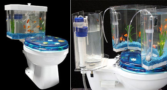 Thêm sinh khí cho nhà với những bể cá độc đáo - Trang trí - Ý tưởng - Thiết kế đẹp - Hồ cá - Bể cá