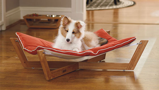 Creative, Funny Furniture for Pets - Decoration - Design - Interior Design - Ideas - Furniture - For pets