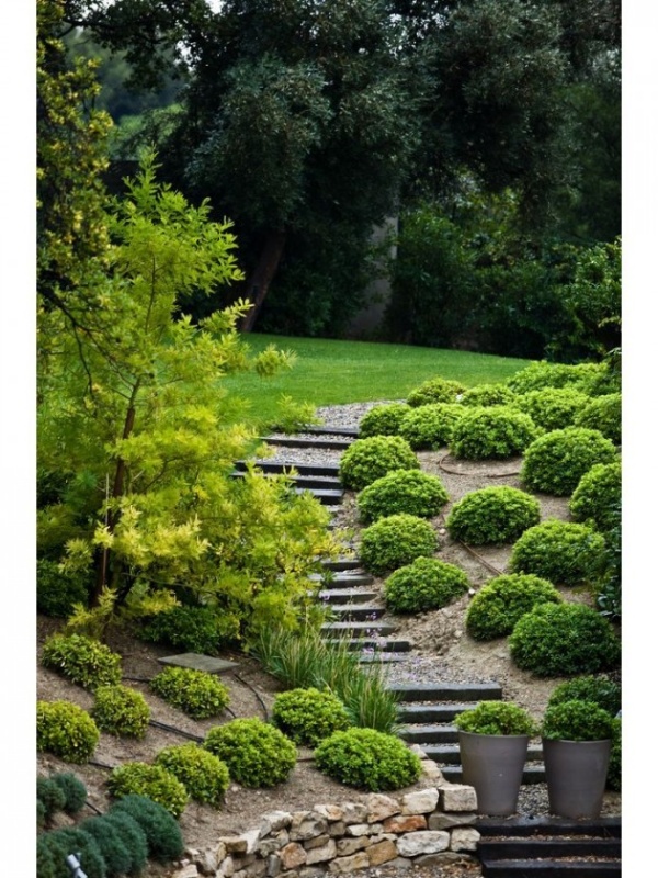 Thư giãn cùng sân vườn xinh đẹp - Ngoài trời - Vườn - Thiết kế