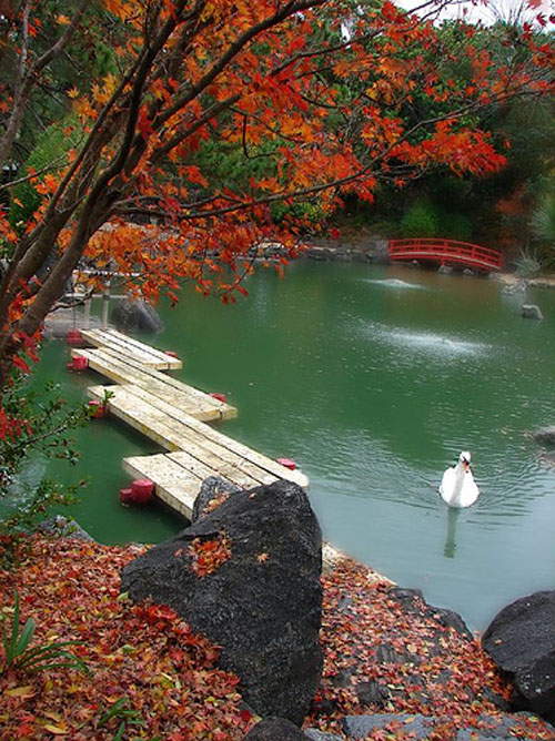 Đầy tinh tế và tao nhã như vườn Nhật - Trang trí - Ý tưởng - Ngoại thất - Vườn - Phong thủy - Vườn Nhật