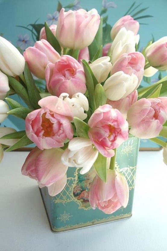 Đón sắc xuân với hoa tulip
