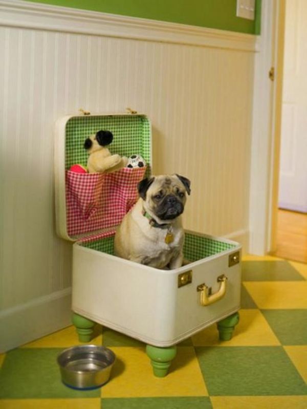 Ngôi nhà cực cute dành cho thú cưng - Nhà cho thú cưng
