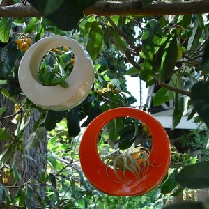 Circle Pots by Potted - Potted - Circle Pots - Garden