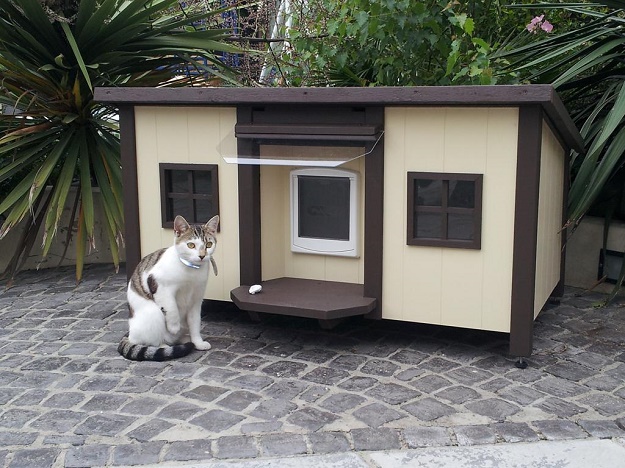 บ้านน้องแมวน่ารักๆ  เอาใจคนรักแมว !!! - บ้าน - การออกแบบ - ไอเดียเก๋ - ไอเดีย