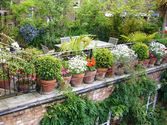 Mini Garden - สวนสวย - แต่งสวน