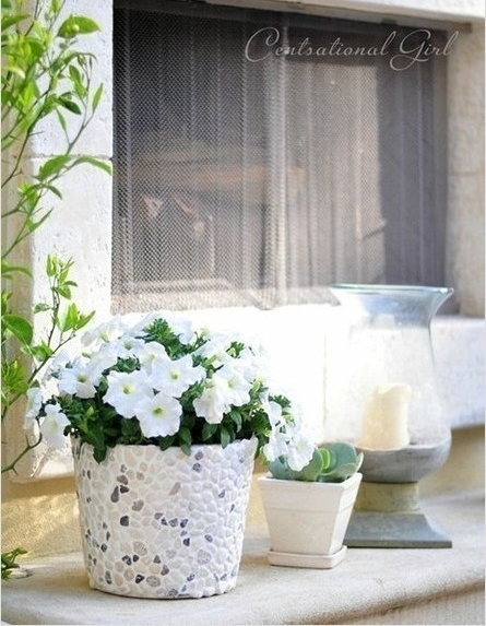 การทำกระถางดอกไม้ แต่งบ้านสวยสดชื่น ด้วยตัวคุณ! - งานประดิษฐ์ - DIY - จัดสวน - แต่งบ้าน - การทำกระถางต้นไม้ - กระถางต้นไม้ - กระถางดอกไม้
