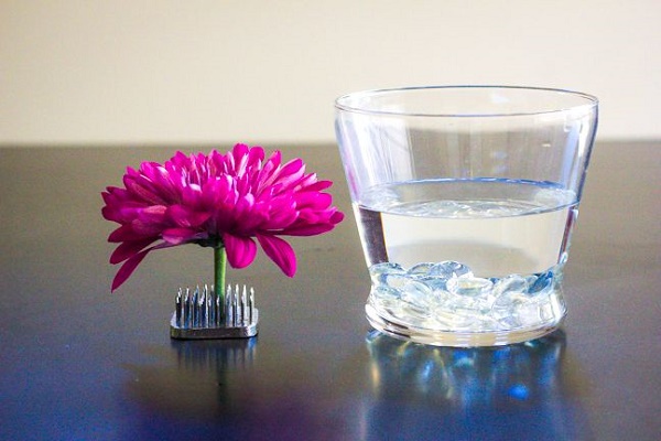 วิธีทำ “ดอกไม้ในแก้วน้ำ” ทำง่ายแต่สวยหรู - ไอเดีย - แต่งบ้าน - ของแต่งบ้าน - ไอเดียเก๋