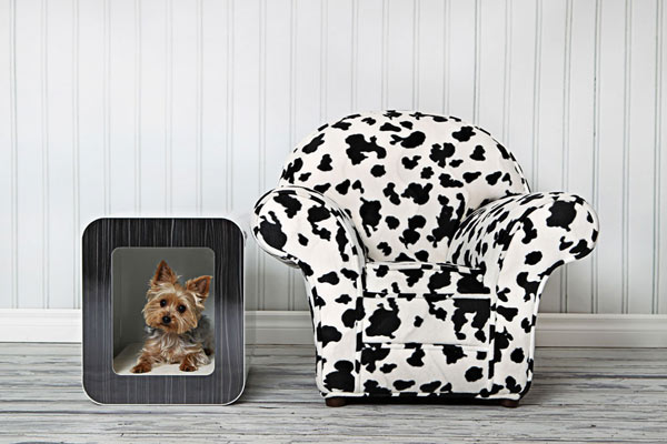 เก้าอี้ที่เข้ากันกับเก้าอี้ของน้องหมา - ตกแต่งบ้าน - การออกแบบ - ไอเดีย - แต่งบ้าน - ตกแต่ง - เฟอร์นิเจอร์ - ห้องนั่งเล่น - DIY - เก้าอี้