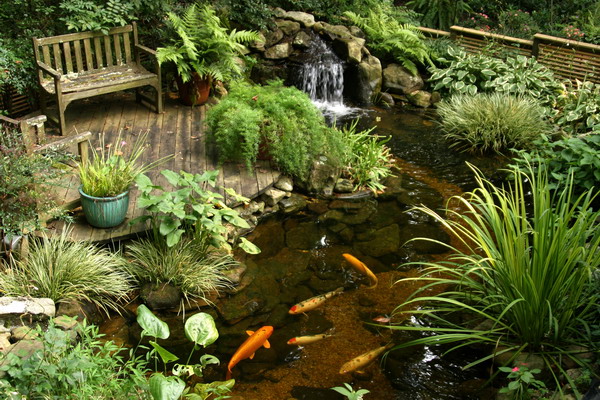 สดชื่น! รื่นร่ม! กับ"กำแพงน้ำตก"ให้สวนบ้านคุณ - จัดสวน - กำแพงน้ำตก - สวนสวย - น้ำตกในสวน - บรรยากาศสวน