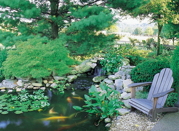 20 ไอเดียตกแต่งสวนสวยด้วยบ่อน้ำ  เพิ่มความสดชื่น ให้สวนของคุณ - สวนสวย - บ่อน้ำ - บ่อปลา - แต่งสวน - ไอเดียแต่งสวน
