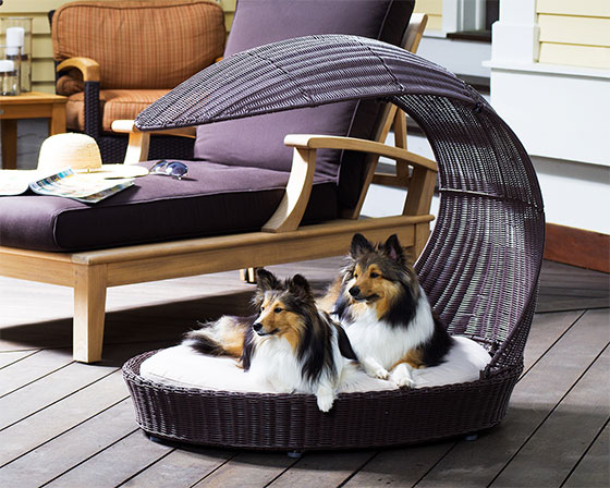 Creative, Funny Furniture for Pets - Decoration - Design - Interior Design - Ideas - Furniture - For pets