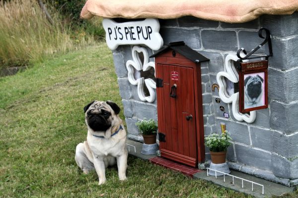 Stylish House For Your Dogs - Dog Houses - Design