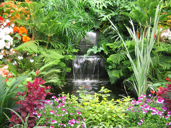 สดชื่น! รื่นร่ม! กับ"กำแพงน้ำตก"ให้สวนบ้านคุณ - จัดสวน - กำแพงน้ำตก - สวนสวย - น้ำตกในสวน