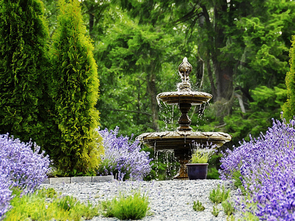 Trang trí vườn đầy phong cách với nước - Vườn