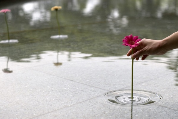 Bình Hoa Gợn Sóng Nổi Trên Mặt Nước - Ý tưởng - Trang trí - Bình hoa
