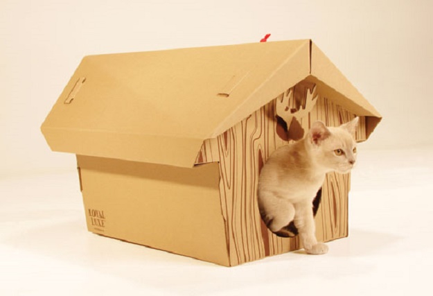 บ้านน้องแมวน่ารักๆ เอาใจคนรักแมว !!! - บ้าน - การออกแบบ - ไอเดียเก๋ - ไอเดีย