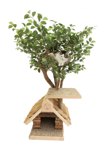 Tự Làm Nhà Trên Cây Xinh Xắn Cho Mèo Yêu - Nhà trên cây - Vật nuôi - Mèo