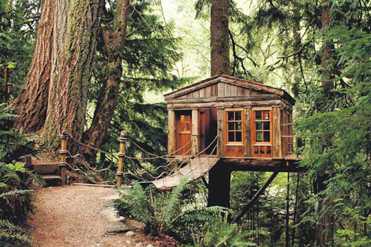 Top Ten Unique Tree House Designs In The World - Outdoor - Design News - Tree house