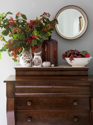 Design a Friendly home with Terri Cannon