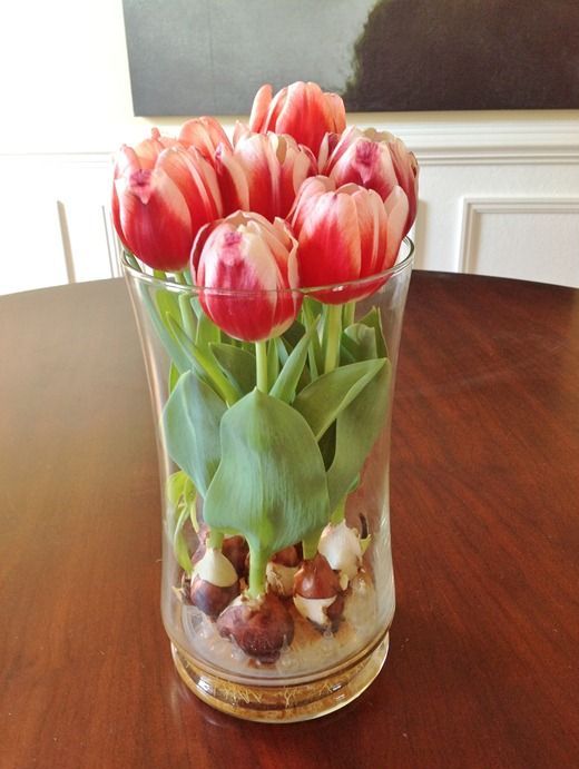 Đón sắc xuân với hoa tulip - Đồ trang trí - Hoa tulip